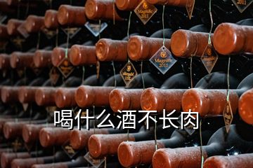 喝什么酒不長(zhǎng)肉