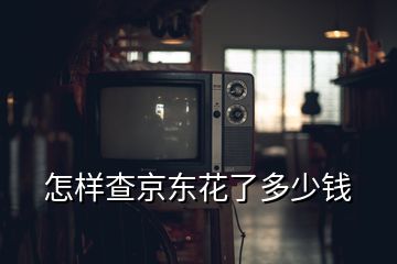 怎樣查京東花了多少錢