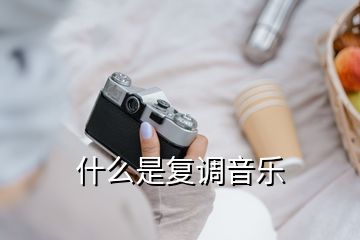 什么是復(fù)調(diào)音樂