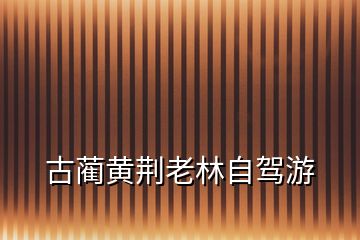 古藺黃荊老林自駕游