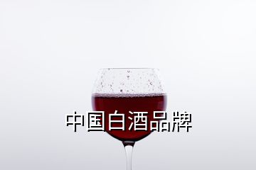 中國白酒品牌