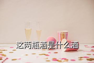 這兩瓶酒是什么酒