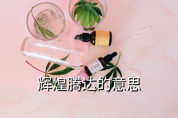 輝煌騰達(dá)的意思