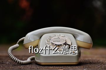 floz什么意思