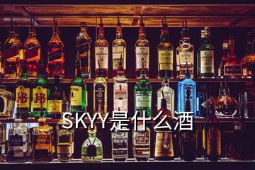 SKYY是什么酒