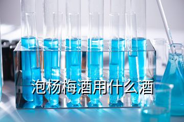 泡楊梅酒用什么酒