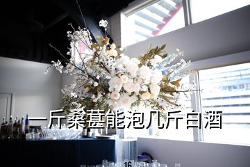 一斤桑葚能泡幾斤白酒