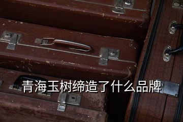 青海玉樹締造了什么品牌