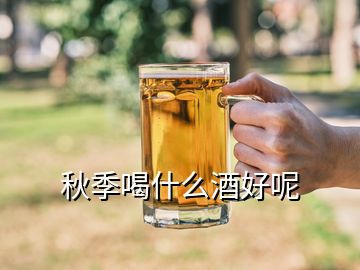 秋季喝什么酒好呢