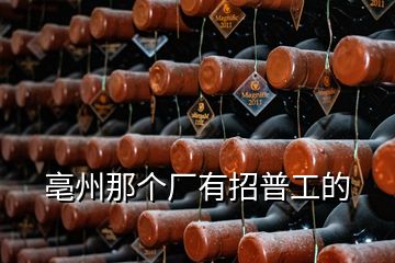 亳州那個廠有招普工的