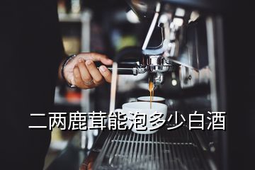 二兩鹿茸能泡多少白酒