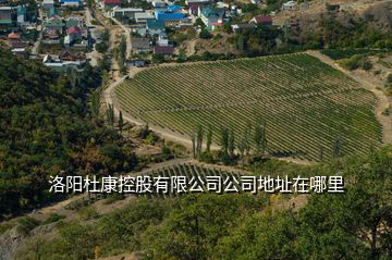 洛陽(yáng)杜康控股有限公司公司地址在哪里