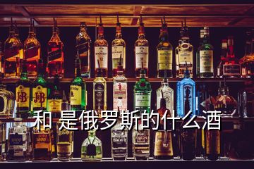  和 是俄羅斯的什么酒