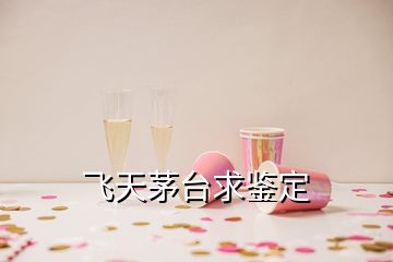 飛天茅臺(tái)求鑒定