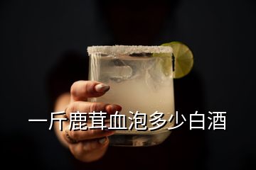 一斤鹿茸血泡多少白酒