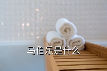 馬伯樂是什么