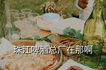 珠江啤酒總廠(chǎng)在那啊