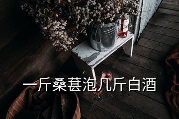 一斤桑葚泡幾斤白酒