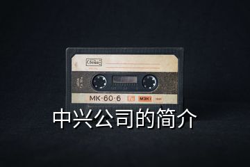 中興公司的簡介