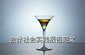 會計社會實踐報告范文