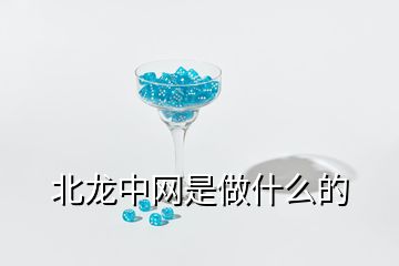 北龍中網(wǎng)是做什么的