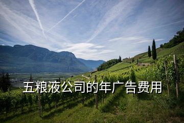 五糧液公司的年廣告費用