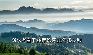 衡水老白干38度珍藏15年多少錢