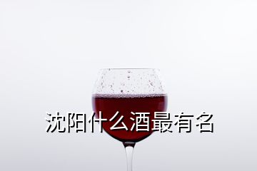 沈陽(yáng)什么酒最有名