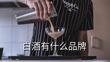 白酒有什么品牌