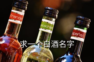 求一個白酒名字