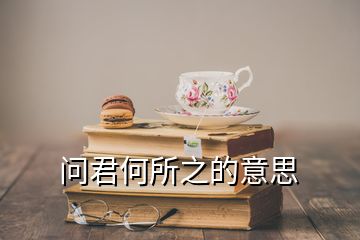 問(wèn)君何所之的意思