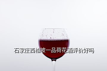 石家莊西柏坡一品荷花酒評價好嗎