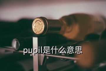 pupil是什么意思