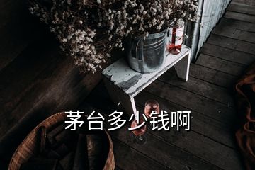 茅臺(tái)多少錢(qián)啊