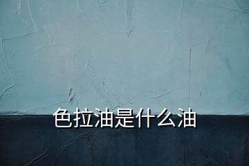 色拉油是什么油