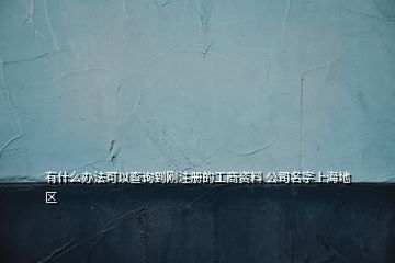 有什么辦法可以查詢到剛注冊(cè)的工商資料 公司名字上海地區(qū)