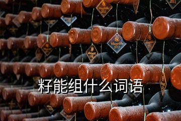 籽能組什么詞語