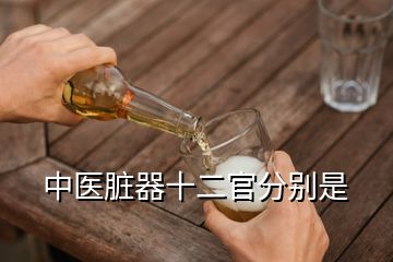 中醫(yī)臟器十二官分別是