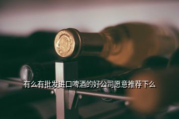 有么有批發(fā)進(jìn)口啤酒的好公司愿意推薦下么