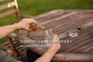 中國(guó)郵政國(guó)內(nèi)快遞包裹查詢(xún)網(wǎng) 請(qǐng)幫我查下KA08448295913到哪里了