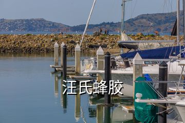 汪氏蜂膠