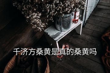 千濟(jì)方桑黃是真的桑黃嗎