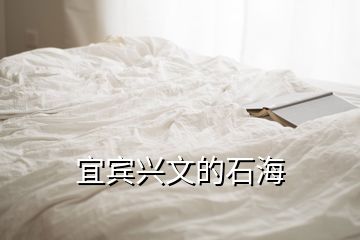 宜賓興文的石海