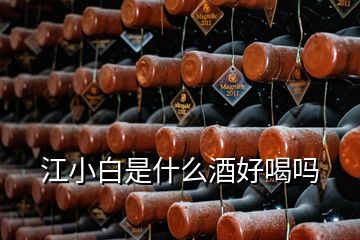 江小白是什么酒好喝嗎