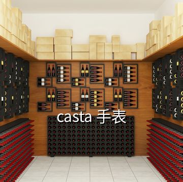 casta 手表