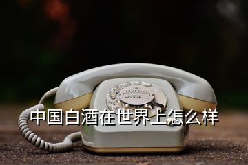 中國(guó)白酒在世界上怎么樣