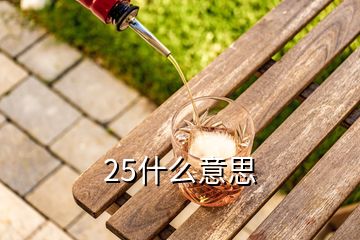 25什么意思