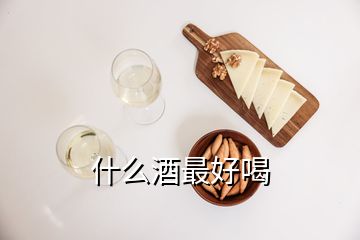 什么酒最好喝