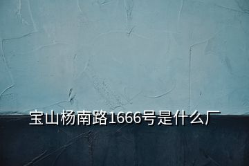 寶山楊南路1666號(hào)是什么廠