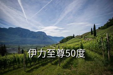 伊力至尊50度